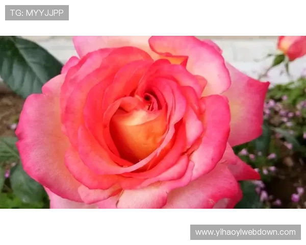 壹号娱乐注册入口:确保账号安全的注册技巧与注意事项 壹号娱乐注册入口:确保账号安全的注册技巧与注意事项